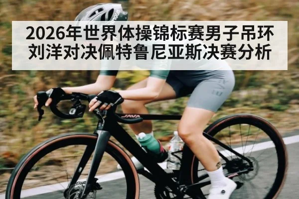 2026年世界体操锦标赛男子吊环刘洋对决佩特鲁尼亚斯决赛分析