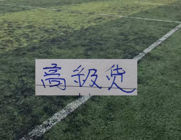 中超前15轮 各队代表球星！|阿马杜|上海海港|成都蓉城足球俱乐部|上海申花足球俱乐部|大连英博_新浪体育_新浪新闻
